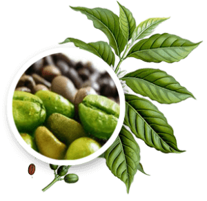 Image Title My Image