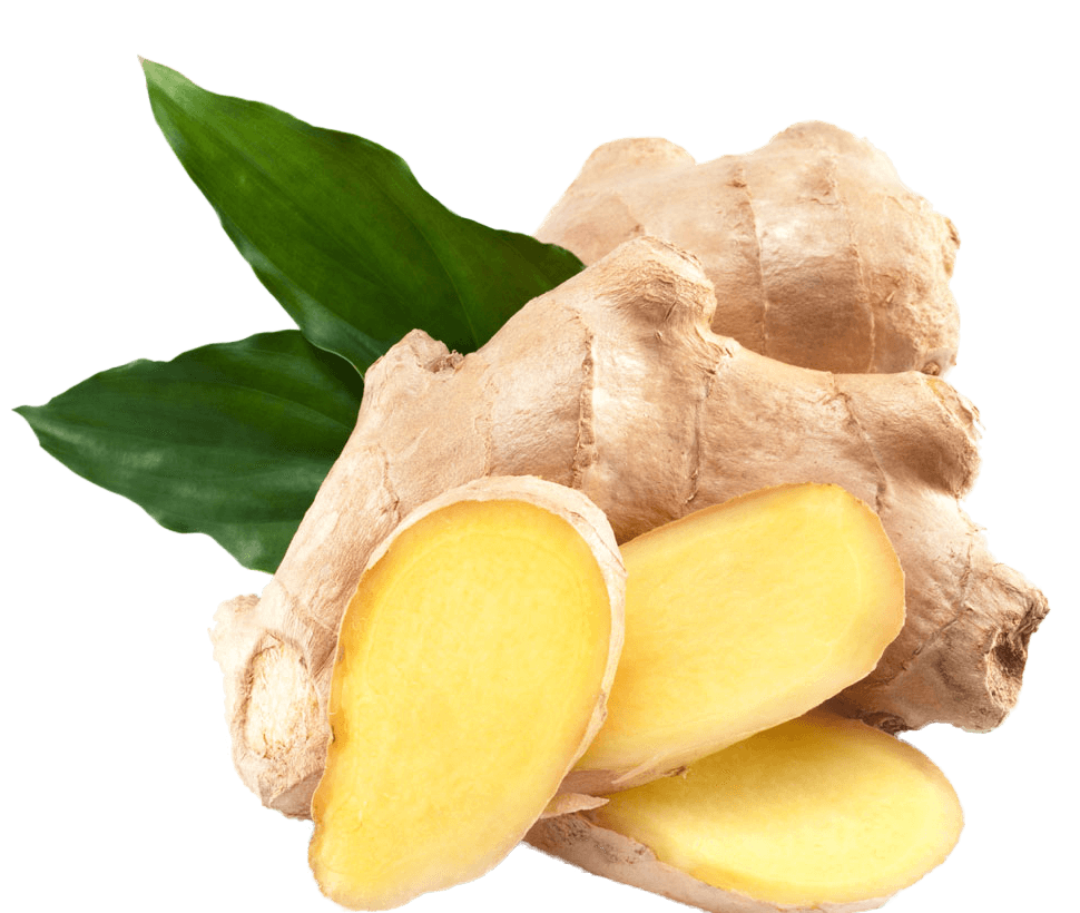 Image Title My Image